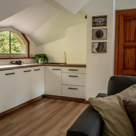 Apartamenty W Willi Debowej Z Dostepem Do Sauny Bielawa  Exterior foto