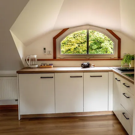 Apartamenty W Willi Debowej Z Dostepem Do Sauny Bielawa  Exterior foto