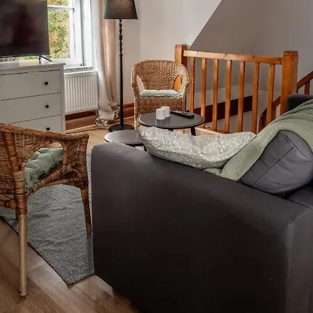 Apartamenty W Willi Debowej Z Dostepem Do Sauny Bielawa  Exterior foto